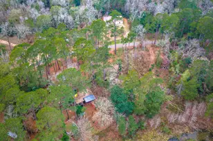 1542 Hillbilly Heaven, Livingston, TX 77351 - Photo 15