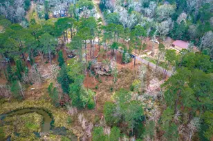 1542 Hillbilly Heaven, Livingston, TX 77351 - Photo 17