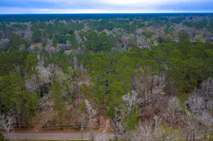 1542 Hillbilly Heaven, Livingston, TX 77351 - Photo 21