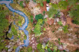 1542 Hillbilly Heaven, Livingston, TX 77351 - Photo 19