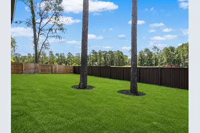 29818 Amber Brook Drive, Magnolia, TX 77354 - Photo 45