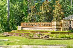 4041 Timber Sapp Dr, Conroe, TX 77304 - Photo 25