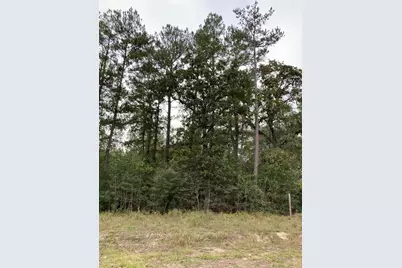 16596 Camelia Lane, Plantersville, TX 77363 - Photo 5