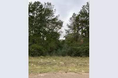 16596 Camelia Lane, Plantersville, TX 77363 - Photo 7