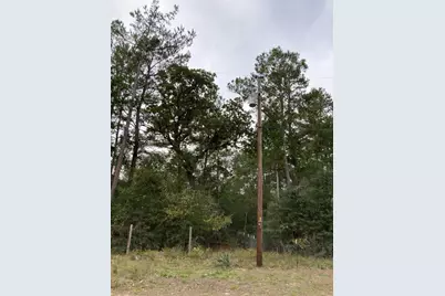 16596 Camelia Lane, Plantersville, TX 77363 - Photo 3