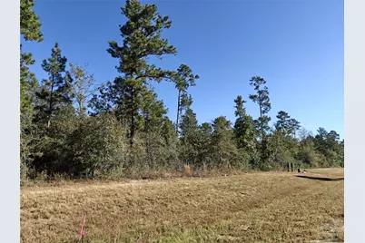 357 Iron Horse Road, New Waverly, TX 77358 - Photo 5