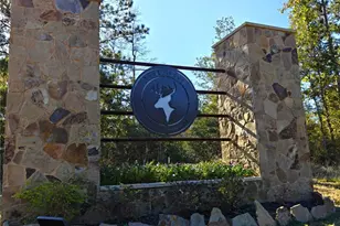 357 Iron Horse Rd, New Waverly, TX 77358 - Photo 1