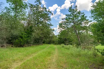 4900 Andreas Road, Round Top, TX 78954 - Photo 19