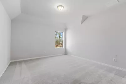 21927 Iris Colony Drive, Waller, TX 77484 - Photo 19