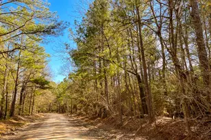 16 Paces Creek, Corrigan, TX 75939 - Photo 1