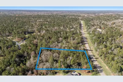 10674 Ruger Road, Willis, TX 77378 - Photo 7