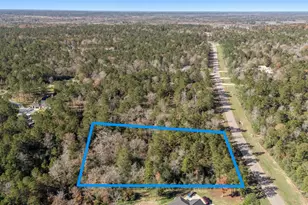 10674 Ruger Rd, Willis, TX 77378 - Photo 7