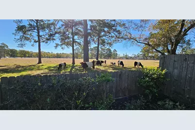 14207 Julington Lane, Cypress, TX 77429 - Photo 5