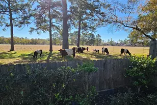 14207 Julington Ln, Cypress, TX 77429 - Photo 5