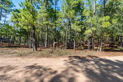Tbd Red Fox, La Grange, TX 78945 - Photo 7