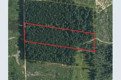 Tbd Morgan Cemetary Rd, Cleveland, TX 77328 - Photo 3