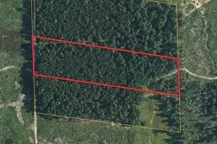 Tbd Morgan Cemetary Rd, Cleveland, TX 77328 - Photo 3