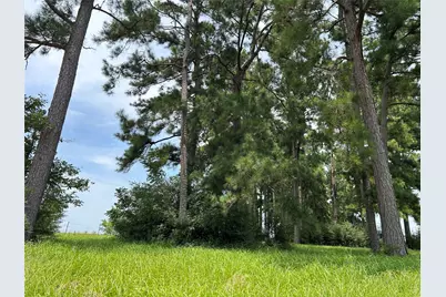 Lot 378 Madison Lake Loop, Woodville, TX 75979 - Photo 15