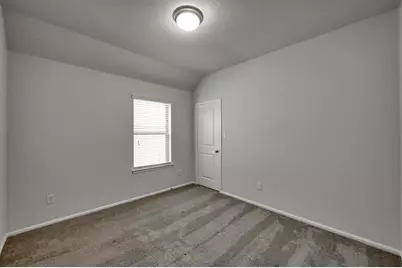 17446 Vino Vines Lane, Conroe, TX 77302 - Photo 19