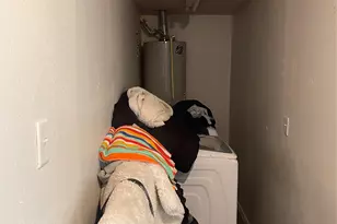 611 Sarah St, Edna, TX 77957 - Photo 27