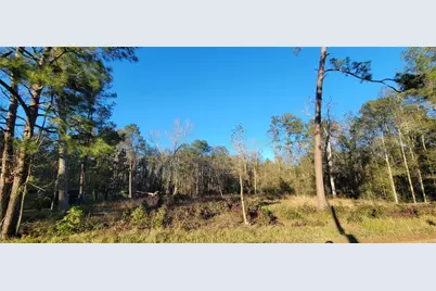 3411 Roman Forest Blvd, New Caney, TX 77365 - Photo 3