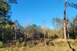 3411 Roman Forest Blvd, New Caney, TX 77365 - Photo 3