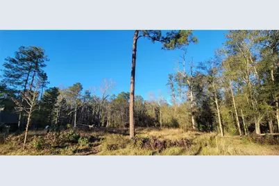 3411 Roman Forest Blvd, New Caney, TX 77365 - Photo 5