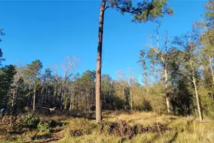 3411 Roman Forest Blvd, New Caney, TX 77365 - Photo 5