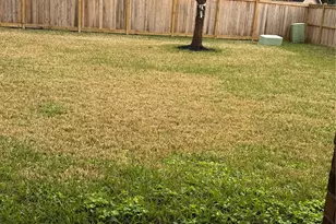 21424 Quail Point Ln, Montgomery, TX 77365 - Photo 45