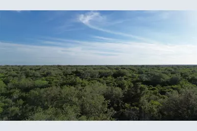 6104 Lucas Road, Goliad, TX 77963 - Photo 19