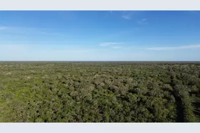 6104 Lucas Road, Goliad, TX 77963 - Photo 13