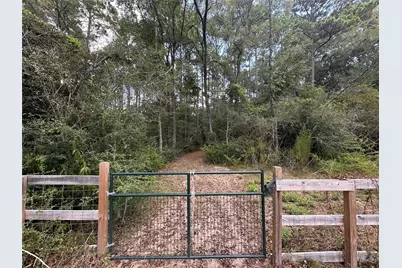 16735 Azalea Lane, Plantersville, TX 77363 - Photo 39