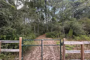 16735 Azalea Ln, Plantersville, TX 77363 - Photo 39