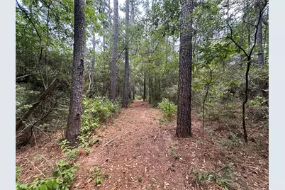 16735 Azalea Lane, Plantersville, TX 77363 - Photo 43