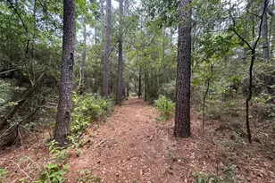 16735 Azalea Ln, Plantersville, TX 77363 - Photo 43