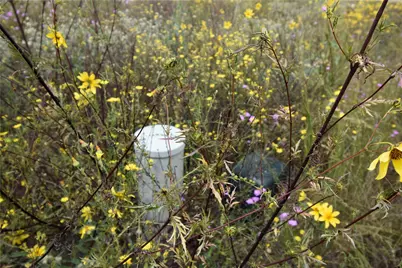 1004 Road 5704, Cleveland, TX 77327 - Photo 13