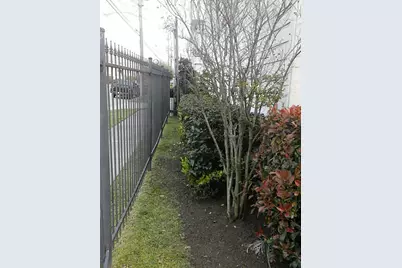 703 St Charles Street, Houston, TX 77003 - Photo 3