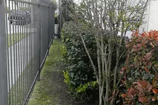 703 St Charles St, Houston, TX 77003 - Photo 3