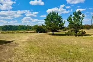 251 Cr1050, Woodville, TX 75979 - Photo 49