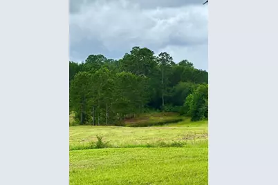 251 Cr 1050, Woodville, TX 75979 - Photo 13