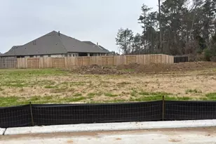 1218 Sandy Shore Ln, Iowa Colony, TX 77583 - Photo 9