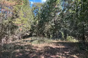 408 Ridgelake Scenic, Montgomery, TX 77316 - Photo 11