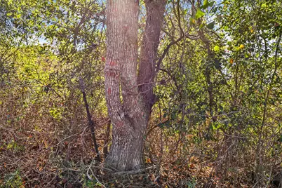 576 County Road 614, Dayton, TX 77535 - Photo 23