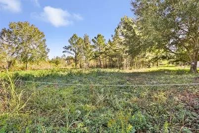 576 County Road 614, Dayton, TX 77535 - Photo 9