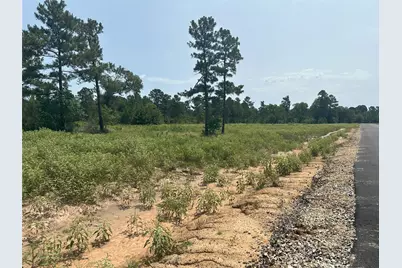 31823 Boone Road, Waller, TX 77484 - Photo 9