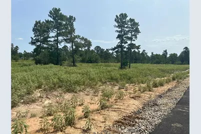 31823 Boone Road, Waller, TX 77484 - Photo 7