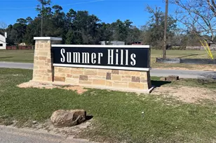 Lot 179 Indigo Way, Porter, TX 77365 - Photo 5