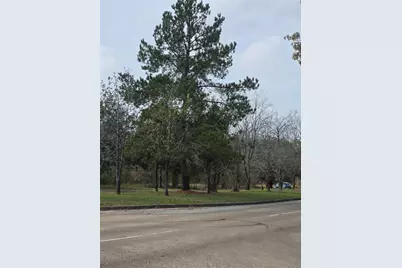 1134 Wynnwood Lane, Houston, TX 77008 - Photo 3
