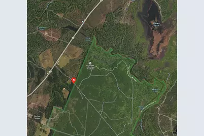 00 Forest Service Road 511, Grapeland, TX 75844 - Photo 15