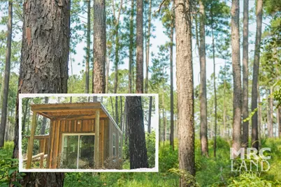 00 Forest Service Road 511, Grapeland, TX 75844 - Photo 1